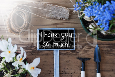 Sunny Spring Flowers, Sign, Text Thank You So Much