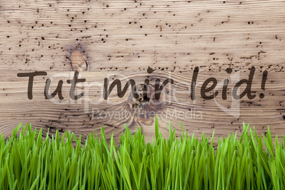 Bright Wooden Background, Gras, Tut Mir Leid Means Sorry