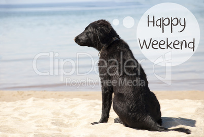 Dog At Sandy Beach, Text Happy Weekend