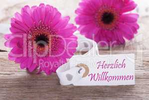 Pink Spring Gerbera, Label, Herzlich Willkommen Means Welcome