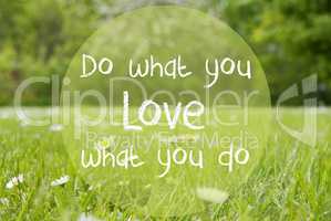 Gras Meadow, Daisy Flowers, Quote Do What You Love
