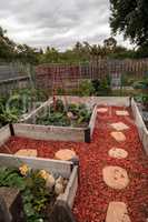 Community organic garden with natural vegetables