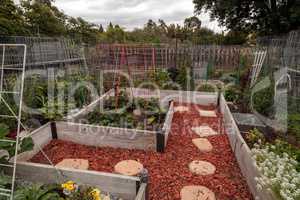 Community organic garden with natural vegetables