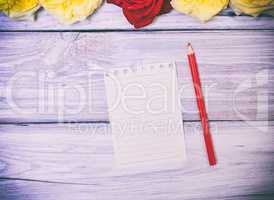 Blank white sheet and red wooden pencil