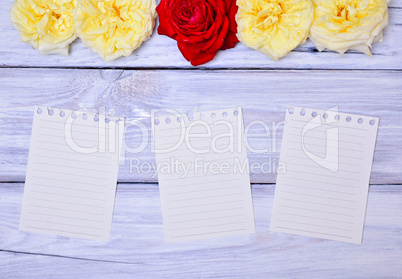 Three blank paper sheet with a notebook