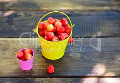 Ripe pink cherry in metal buckets
