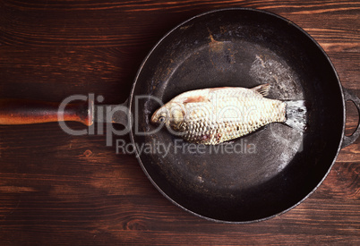 Fresh carp fish in a black cast-iron frying pan