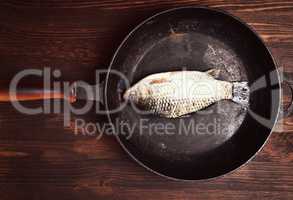 Fresh carp fish in a black cast-iron frying pan