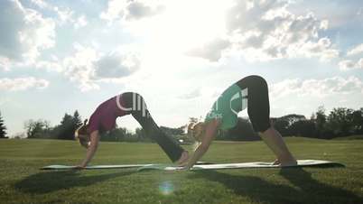 Elegant sporty ladies practicing yoga pose in park