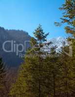 landscape in the Alps