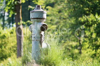 alter Hydrant auf grüner Wiese
