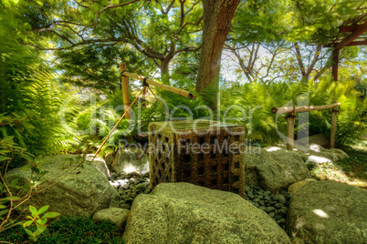 Relaxing, zen like pond with a waterfall