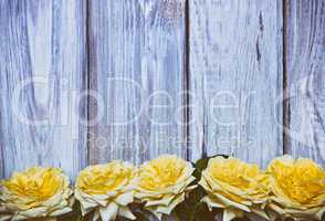 Bouquet of yellow roses on a white wooden background