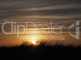 Golden sundown with dune grass