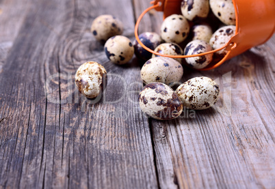 Raw quail eggs on a gray wooden background