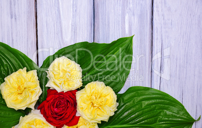 Bouquet of yellow and red roses with green leaves