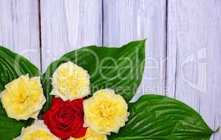 Bouquet of yellow and red roses with green leaves