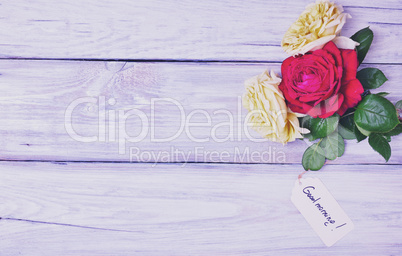 Three blossoming roses on a white wooden background