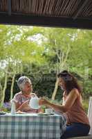 Mother and daughter having tea