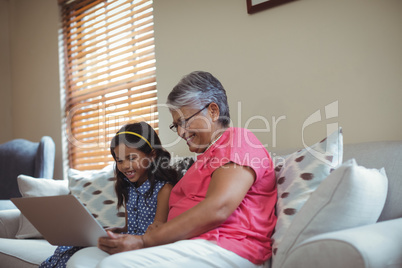 Grandmother and granddaughter using laptop in living room