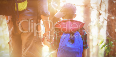 Rear view of boy holding hands with father in forest