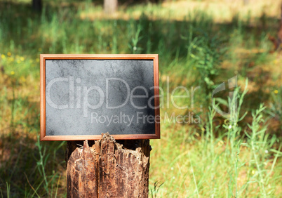 Empty black wooden frame hanging on the tree trunk