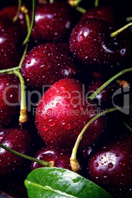 cherry