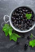 Blackcurrant berries with leaves, black currant