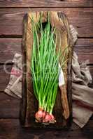 Green onion or scallion on wooden board, fresh spring chives