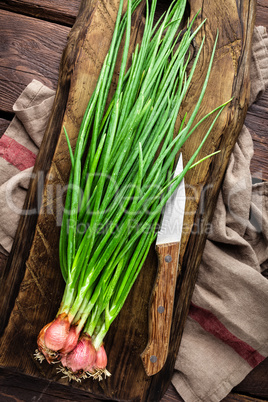 Green onion or scallion on wooden board, fresh spring chives