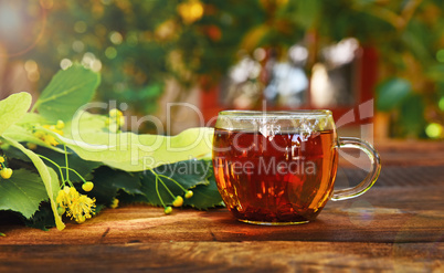 Transparent mug with tea and a lime tree branch