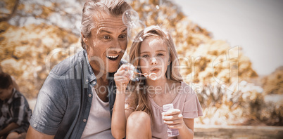 Father and daughter blowing bubble wand at picnic in park