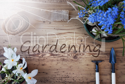 Sunny Spring Flowers, Text Gardening