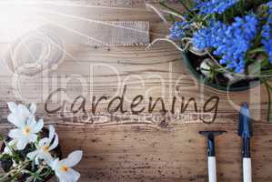 Sunny Spring Flowers, Text Gardening