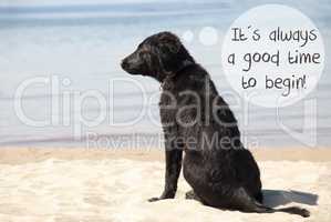 Dog At Sandy Beach, Quote Always Good Time To Begin