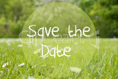 Gras Meadow, Daisy Flowers, Text Save The Date