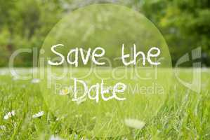 Gras Meadow, Daisy Flowers, Text Save The Date