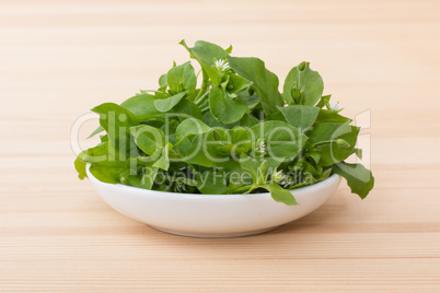 fresh chickweed