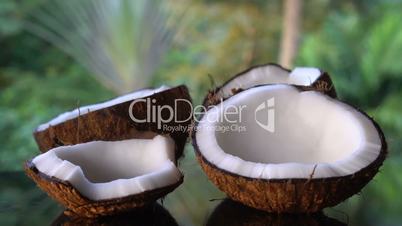 Coconuts on the black glass table isolated over blurred palm trees background