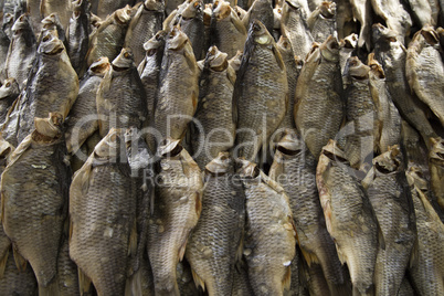 Dried fish. Dry fish. Dry fish background.