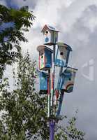 Colorful nesting boxes on blue sky