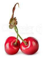 Pair red sweet cherry