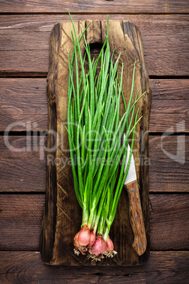 Green onion or scallion on wooden board, fresh spring chives