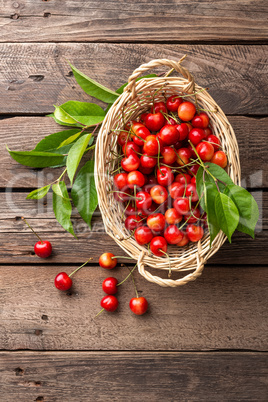 Sweet cherry in basket