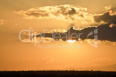 Sunset over the savanna