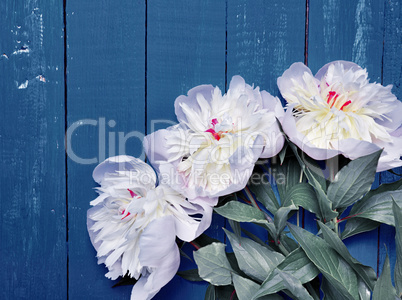 Bouquet of white peonies