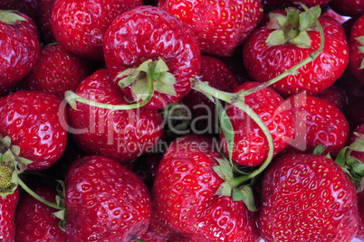 many raw red Strawberry