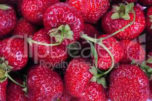 many raw red Strawberry
