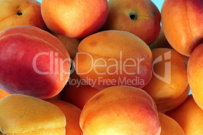 many orange peach at day