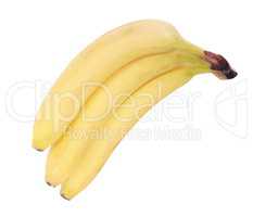 many yellow banana isolated